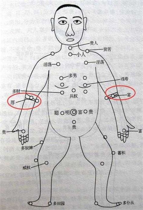 手臂痣图解